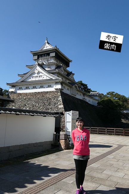 日本旅遊～暖！| WIWI遠紅外線溫灸刷毛發熱衣評價 - 老皮嫩肉的流水帳生活