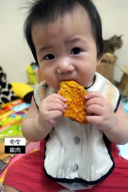 宅配 | 推薦團購蜜餞【盛發食品行】芒果乾、芒果燒及鳳梨燒 - 老皮嫩肉的流水帳生活