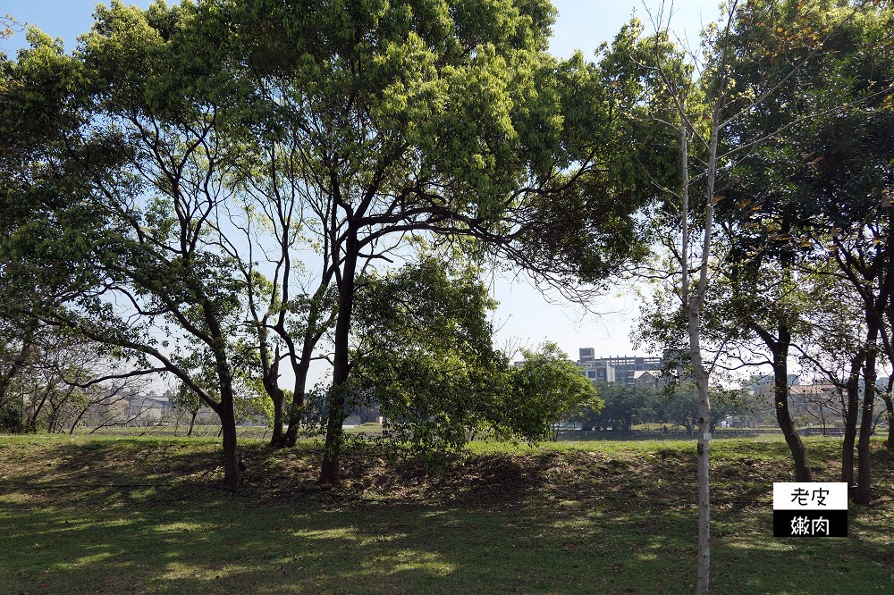 桃園青埔親子公園 | 【臺灣橫山書法藝術公園】 埤塘公園 沙坑溜滑梯鞦韆 腳踏車道 近華泰名品城 - 老皮嫩肉的流水帳生活