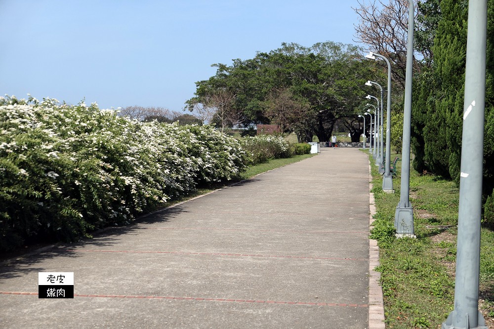 桃園青埔親子公園 | 【臺灣橫山書法藝術公園】 埤塘公園 沙坑溜滑梯鞦韆 腳踏車道 近華泰名品城 - 老皮嫩肉的流水帳生活