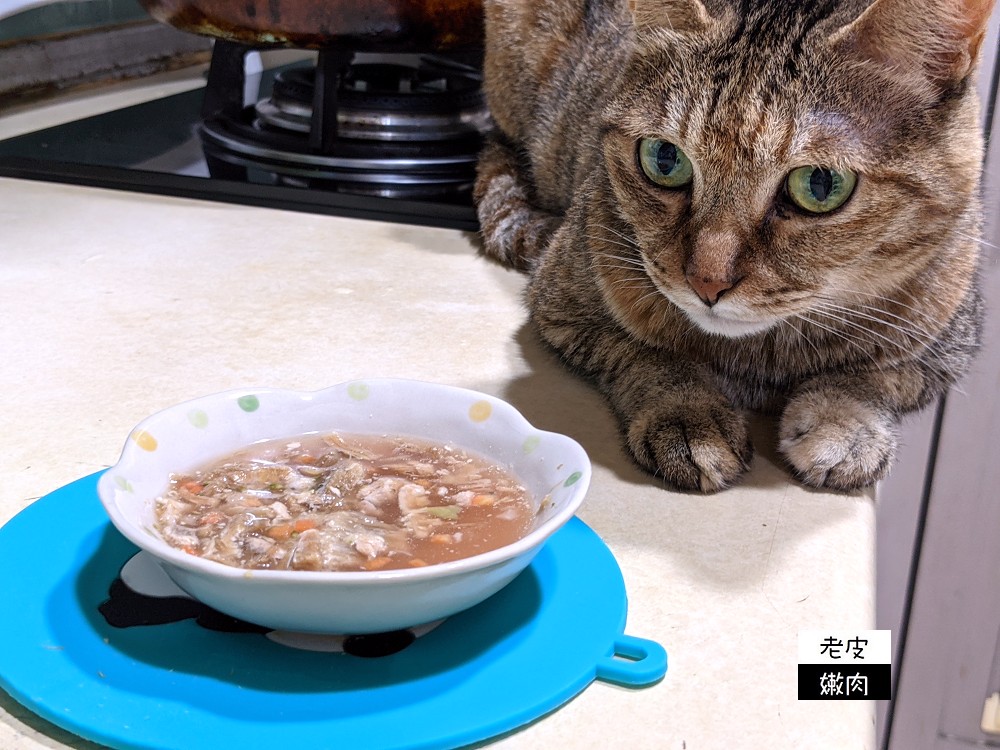 寵物凍乾推薦 | 【毛姐夫】原型食材 冷凍乾燥技術 營養成分保留 並多加多種營養素 守護貓咪健康 - 老皮嫩肉的流水帳生活