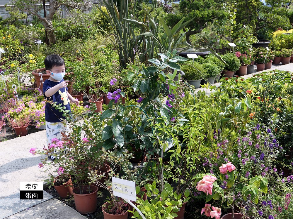 台灣北部花市推薦 | 【上田休閒花市】園藝用品多 花卉種類多 價格親民 - 老皮嫩肉的流水帳生活