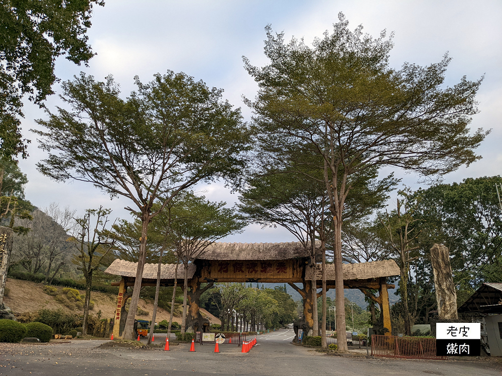 南投山區住宿 | 享受大自然芬多精的【泰雅渡假村】泰雅皇宮主題飯店 小木屋 五行湯屋 免費溫泉 自然生態導覽 - 老皮嫩肉的流水帳生活