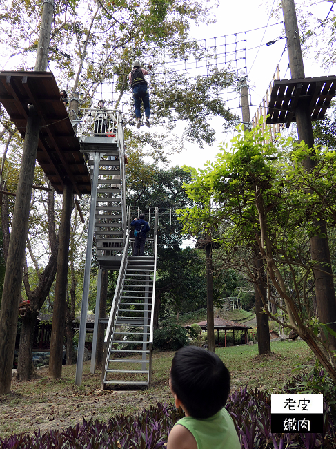 南投山區住宿 | 享受大自然芬多精的【泰雅渡假村】泰雅皇宮主題飯店 小木屋 五行湯屋 免費溫泉 自然生態導覽 - 老皮嫩肉的流水帳生活