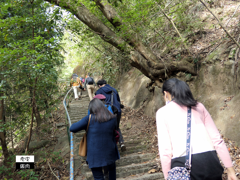 南投山區住宿 | 享受大自然芬多精的【泰雅渡假村】泰雅皇宮主題飯店 小木屋 五行湯屋 免費溫泉 自然生態導覽 - 老皮嫩肉的流水帳生活