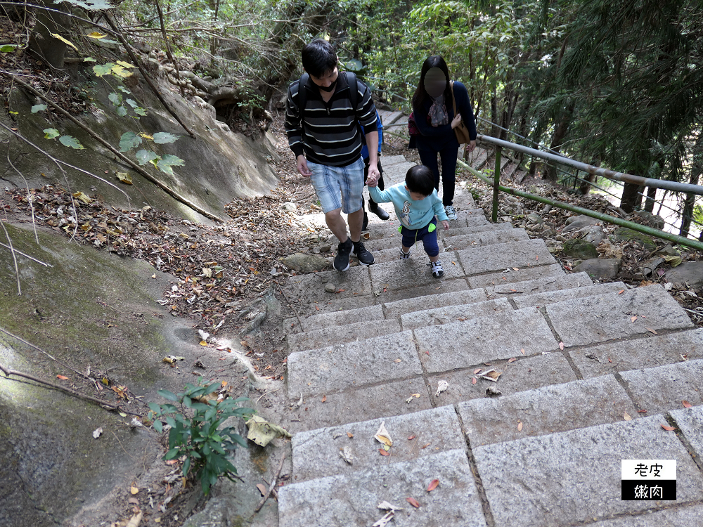 南投山區住宿 | 享受大自然芬多精的【泰雅渡假村】泰雅皇宮主題飯店 小木屋 五行湯屋 免費溫泉 自然生態導覽 - 老皮嫩肉的流水帳生活