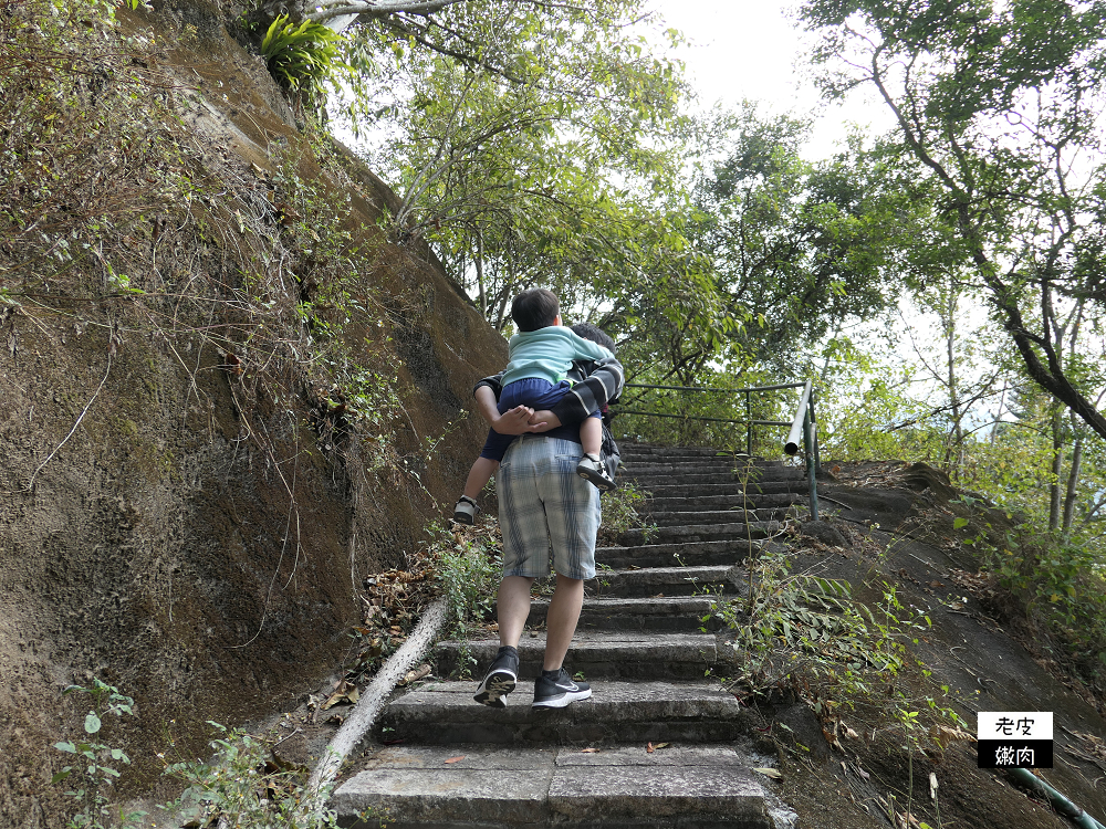 南投山區住宿 | 享受大自然芬多精的【泰雅渡假村】泰雅皇宮主題飯店 小木屋 五行湯屋 免費溫泉 自然生態導覽 - 老皮嫩肉的流水帳生活