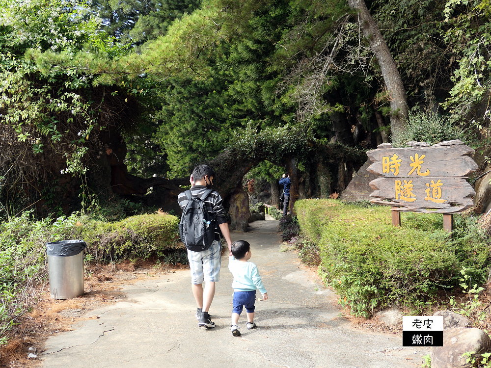 南投山區住宿 | 享受大自然芬多精的【泰雅渡假村】泰雅皇宮主題飯店 小木屋 五行湯屋 免費溫泉 自然生態導覽 - 老皮嫩肉的流水帳生活