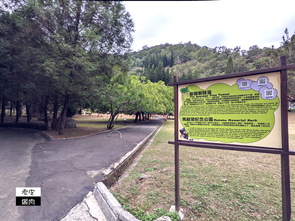 南投山區住宿 | 享受大自然芬多精的【泰雅渡假村】泰雅皇宮主題飯店 小木屋 五行湯屋 免費溫泉 自然生態導覽 - 老皮嫩肉的流水帳生活