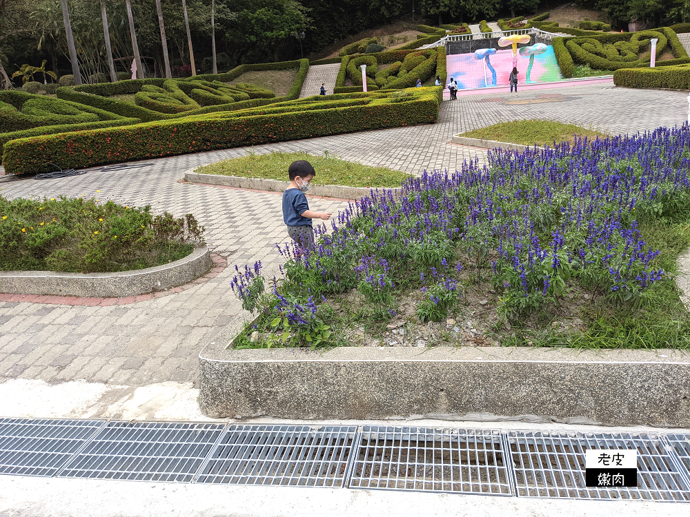 南投山區住宿 | 享受大自然芬多精的【泰雅渡假村】泰雅皇宮主題飯店 小木屋 五行湯屋 免費溫泉 自然生態導覽 - 老皮嫩肉的流水帳生活