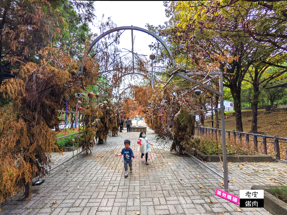 南投山區住宿 | 享受大自然芬多精的【泰雅渡假村】泰雅皇宮主題飯店 小木屋 五行湯屋 免費溫泉 自然生態導覽 - 老皮嫩肉的流水帳生活