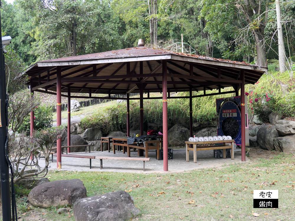 南投山區住宿 | 享受大自然芬多精的【泰雅渡假村】泰雅皇宮主題飯店 小木屋 五行湯屋 免費溫泉 自然生態導覽 - 老皮嫩肉的流水帳生活