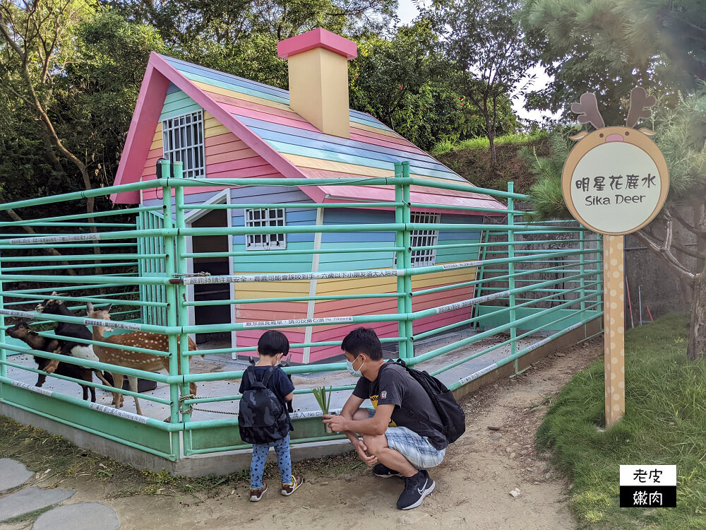 北部超大親子寵物餐廳-卡菲努努親子寵物餐廳| 餵梅花鹿 玩沙坑 - 老皮嫩肉的流水帳生活