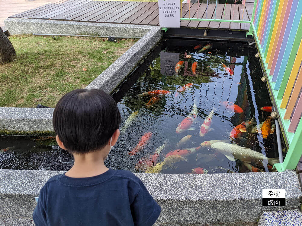 北部超大親子寵物餐廳-卡菲努努親子寵物餐廳| 餵梅花鹿 玩沙坑 - 老皮嫩肉的流水帳生活