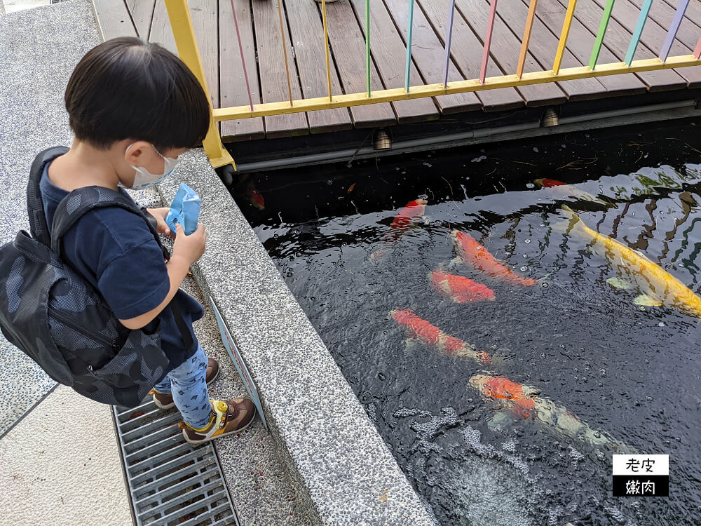 北部超大親子寵物餐廳-卡菲努努親子寵物餐廳| 餵梅花鹿 玩沙坑 - 老皮嫩肉的流水帳生活