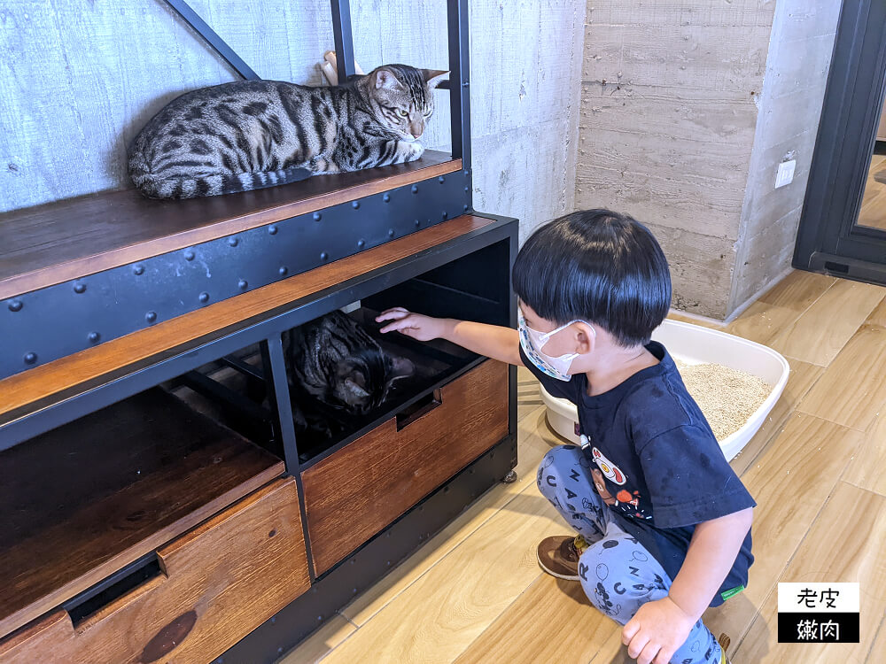 北部超大親子寵物餐廳-卡菲努努親子寵物餐廳| 餵梅花鹿 玩沙坑 - 老皮嫩肉的流水帳生活