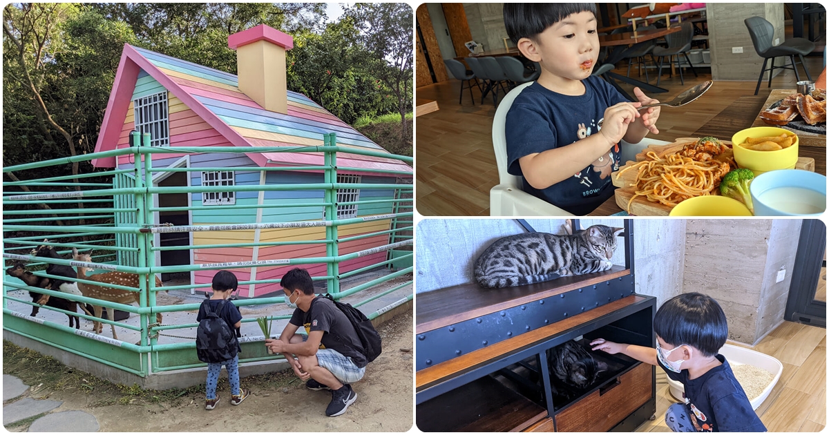 北部超大親子寵物餐廳-卡菲努努親子寵物餐廳| 餵梅花鹿 玩沙坑 - 老皮嫩肉的流水帳生活