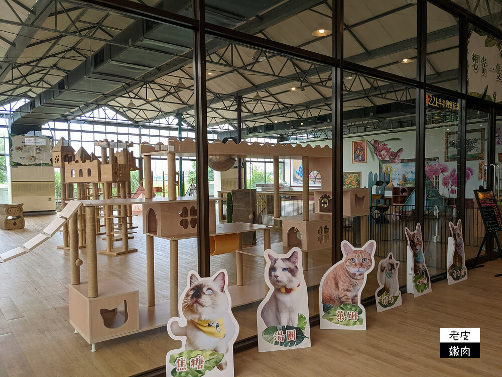 礁溪親子景點|【金車礁溪蘭園】不只賞花 還可跟狐獴、水豚君近距離互動 - 老皮嫩肉的流水帳生活