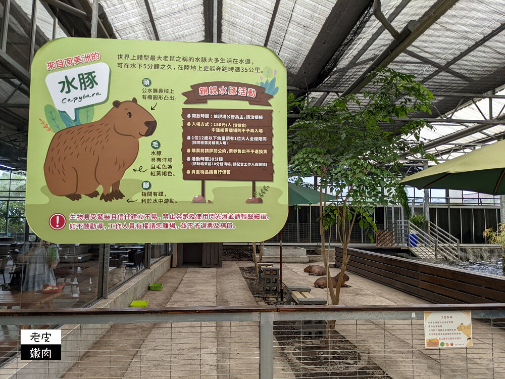 礁溪親子景點|【金車礁溪蘭園】不只賞花 還可跟狐獴、水豚君近距離互動 - 老皮嫩肉的流水帳生活