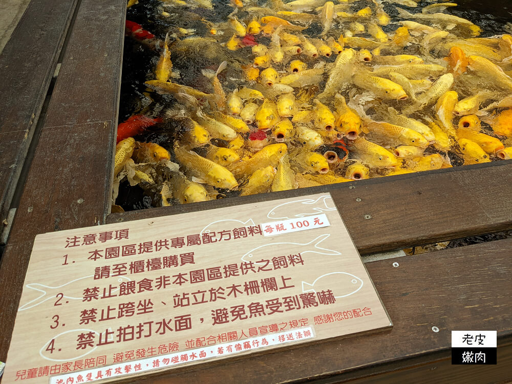 礁溪親子景點|【金車礁溪蘭園】不只賞花 還可跟狐獴、水豚君近距離互動 - 老皮嫩肉的流水帳生活