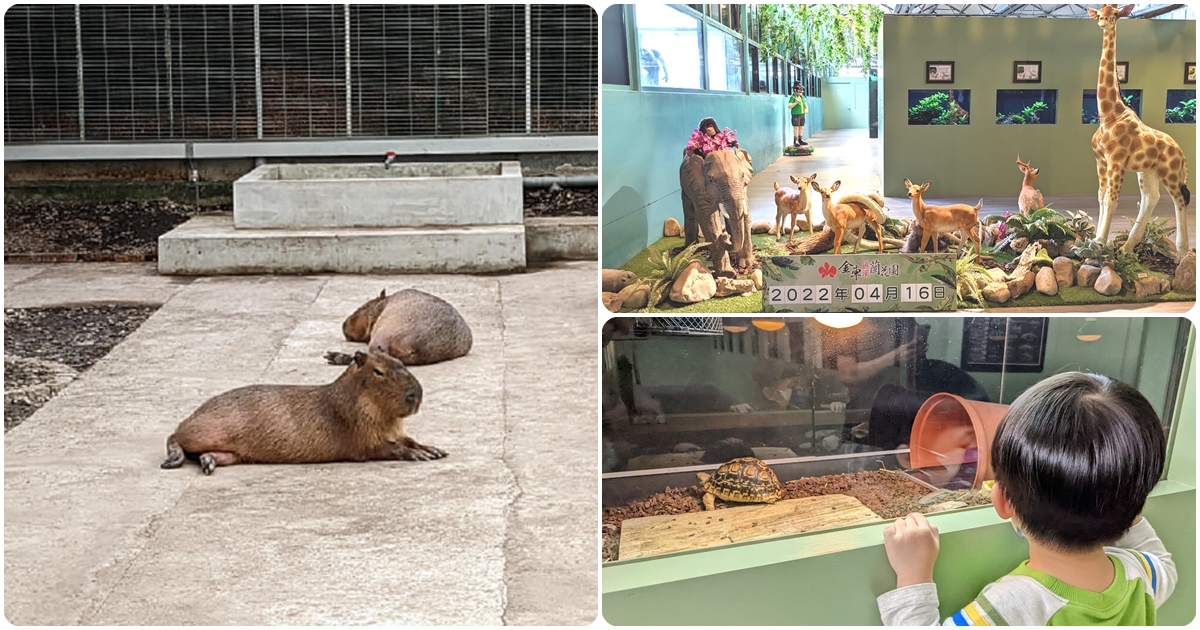 礁溪親子景點|【金車礁溪蘭園】不只賞花 還可跟狐獴、水豚君近距離互動 - 老皮嫩肉的流水帳生活