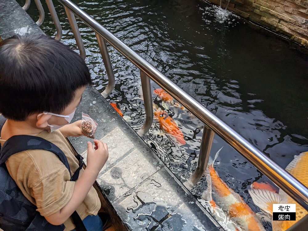 彰化室內親子景點|免門票免費停車 好拍好玩咖啡免費喝的【台灣優格餅乾學院】 - 老皮嫩肉的流水帳生活