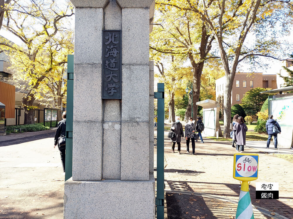 北海道景點|銀杏樹蔭大道美翻天的【北海道大學】 - 老皮嫩肉的流水帳生活