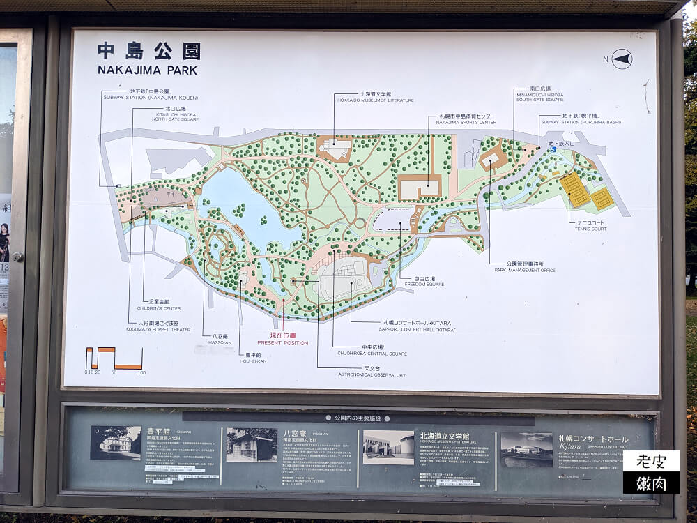 札幌景點推薦|櫻花、銀杏、楓葉，擁有四季色彩的都市公園【中島公園】 - 老皮嫩肉的流水帳生活