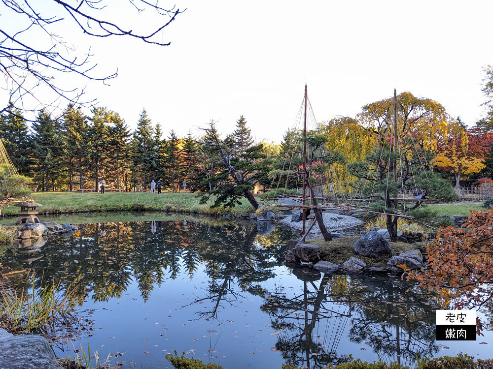 札幌景點推薦|櫻花、銀杏、楓葉，擁有四季色彩的都市公園【中島公園】 - 老皮嫩肉的流水帳生活