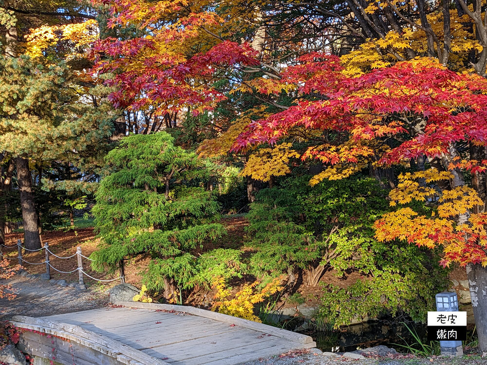 札幌景點推薦|櫻花、銀杏、楓葉，擁有四季色彩的都市公園【中島公園】 - 老皮嫩肉的流水帳生活