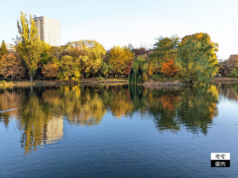 札幌景點推薦|櫻花、銀杏、楓葉，擁有四季色彩的都市公園【中島公園】 - 老皮嫩肉的流水帳生活