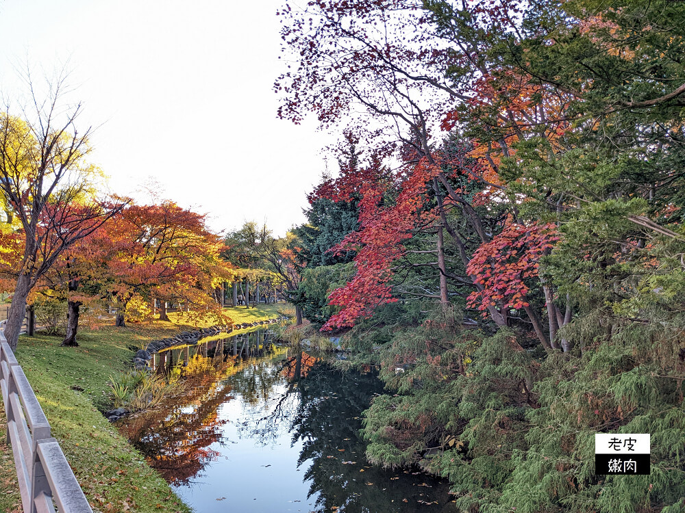 札幌景點推薦|櫻花、銀杏、楓葉，擁有四季色彩的都市公園【中島公園】 - 老皮嫩肉的流水帳生活