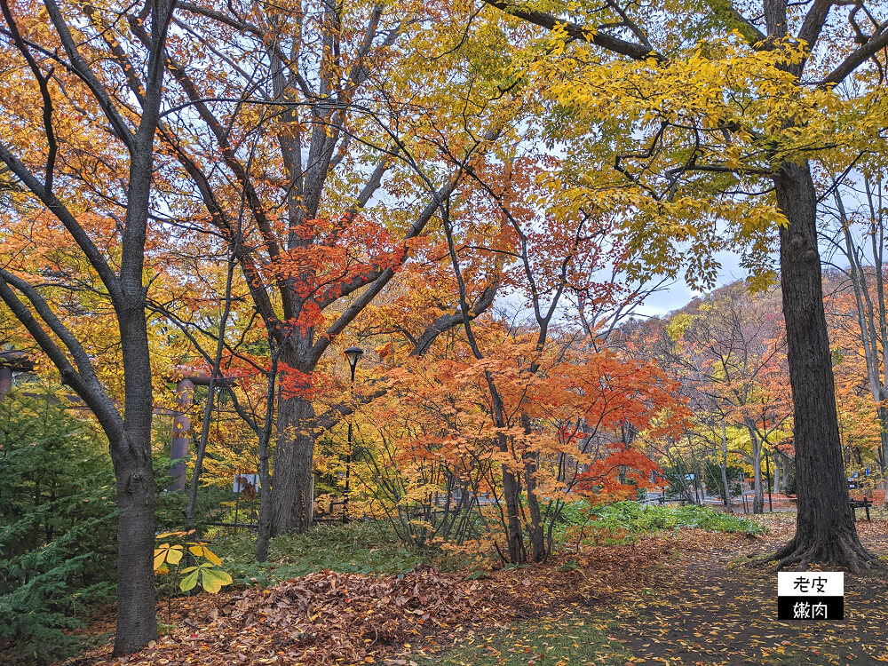 札幌必去景點|四季分明 北海道第一大神社【北海道神宮】2023開放時間 - 老皮嫩肉的流水帳生活