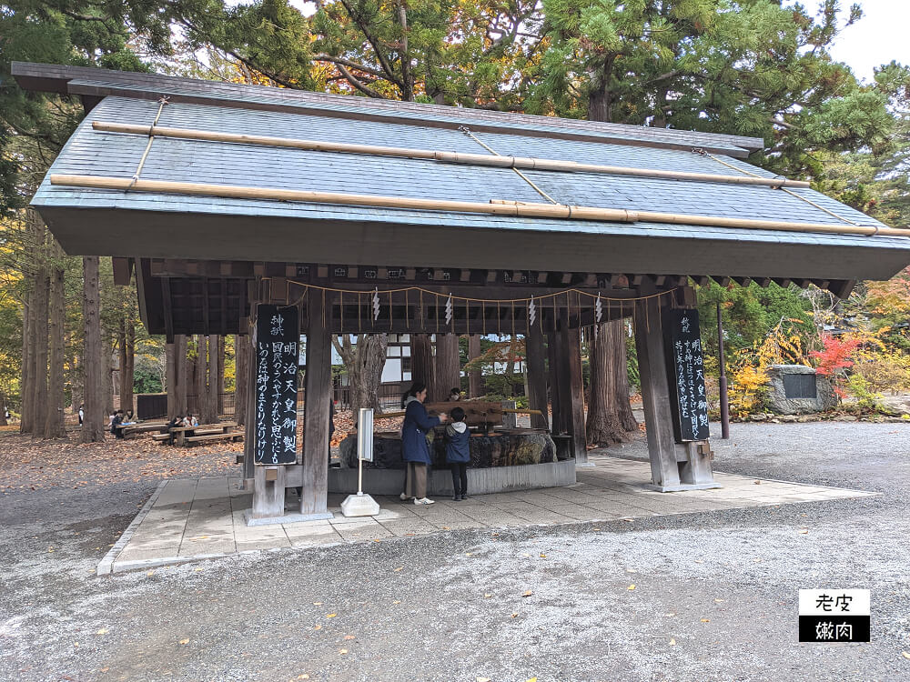 札幌必去景點|四季分明 北海道第一大神社【北海道神宮】2023開放時間 - 老皮嫩肉的流水帳生活