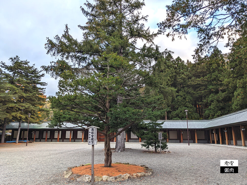 札幌必去景點|四季分明 北海道第一大神社【北海道神宮】2023開放時間 - 老皮嫩肉的流水帳生活