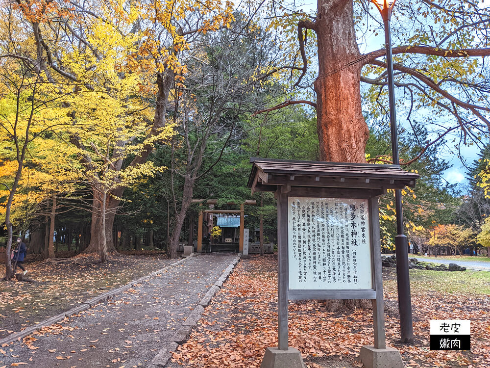 札幌必去景點|四季分明 北海道第一大神社【北海道神宮】2023開放時間 - 老皮嫩肉的流水帳生活