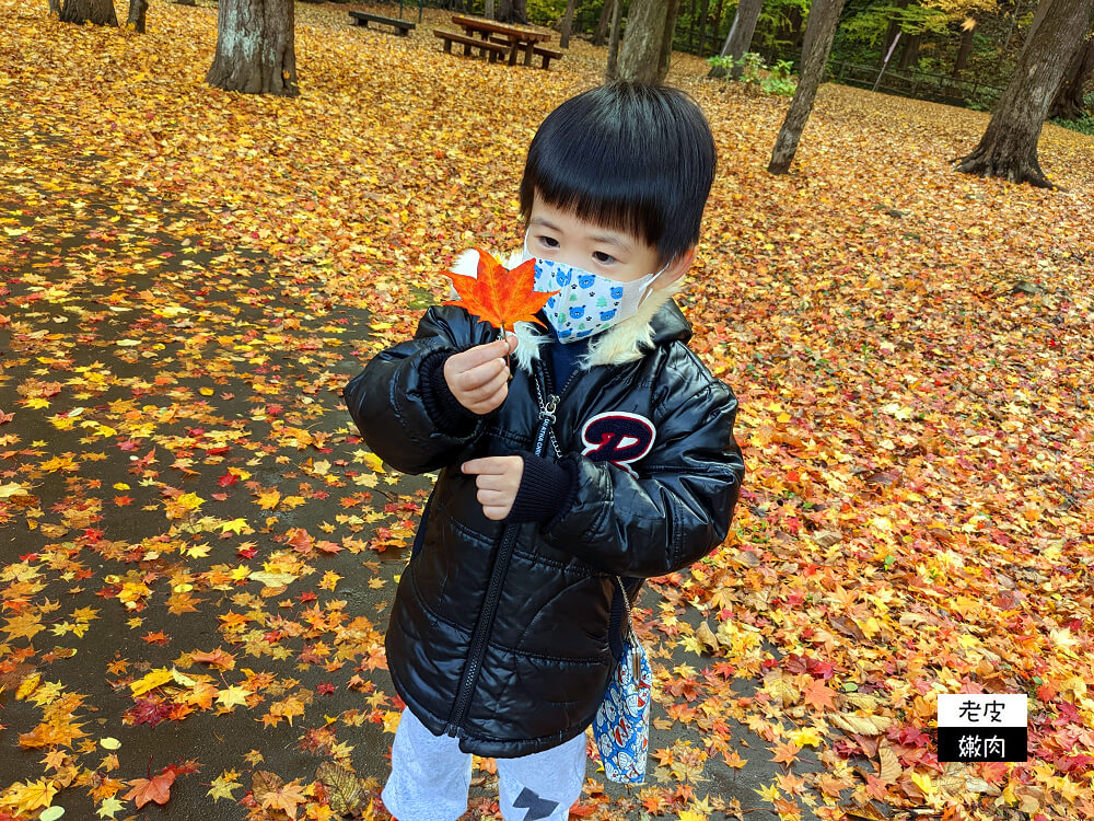 札幌親子景點推薦|札幌【圓山動物園】有北極熊 可愛浣熊 還有遊具可以玩 - 老皮嫩肉的流水帳生活