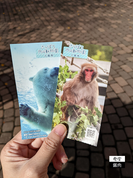 札幌親子景點推薦|札幌【圓山動物園】有北極熊 可愛浣熊 還有遊具可以玩 - 老皮嫩肉的流水帳生活