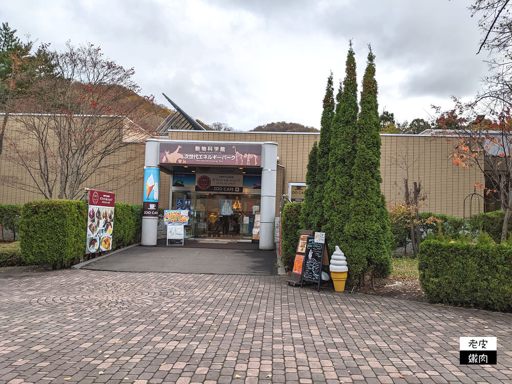 札幌親子景點推薦|札幌【圓山動物園】有北極熊 可愛浣熊 還有遊具可以玩 - 老皮嫩肉的流水帳生活