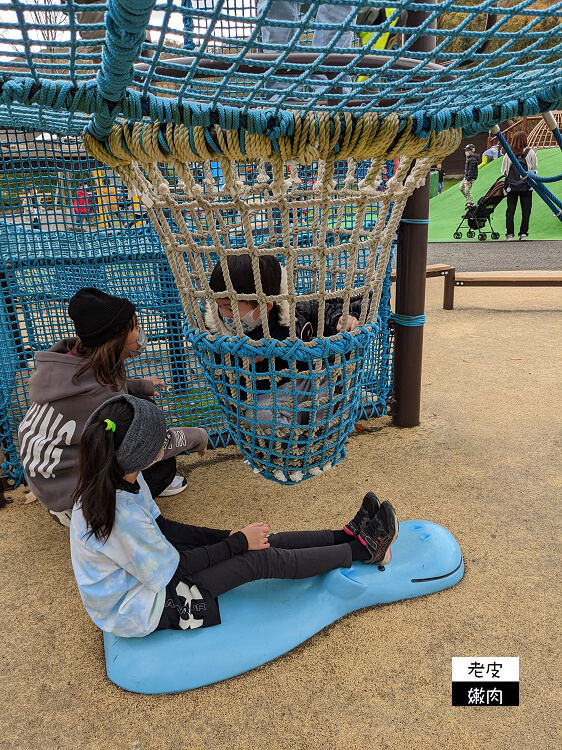 札幌親子景點推薦|札幌【圓山動物園】有北極熊 可愛浣熊 還有遊具可以玩 - 老皮嫩肉的流水帳生活