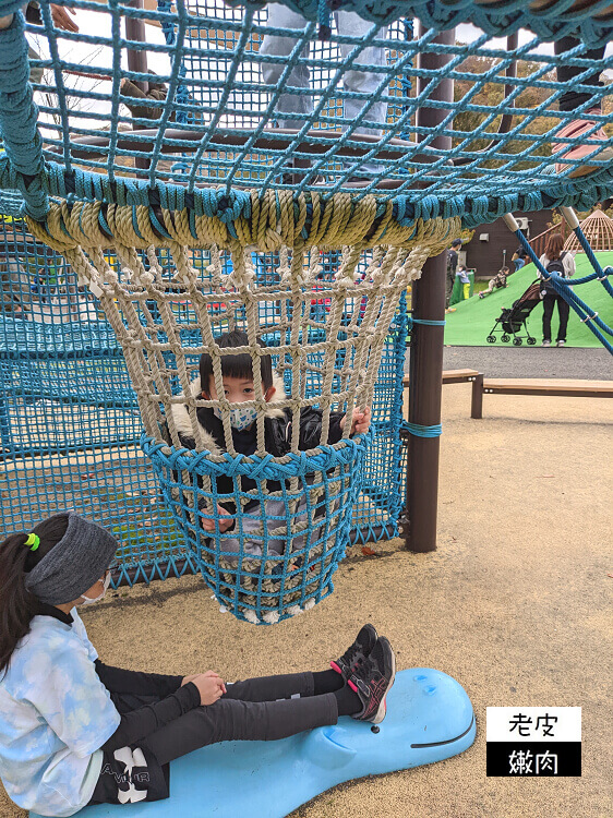 札幌親子景點推薦|札幌【圓山動物園】有北極熊 可愛浣熊 還有遊具可以玩 - 老皮嫩肉的流水帳生活