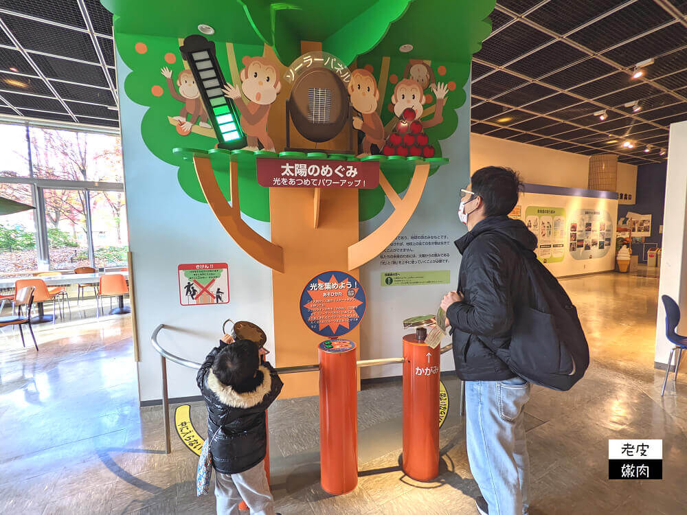 札幌親子景點推薦|札幌【圓山動物園】有北極熊 可愛浣熊 還有遊具可以玩 - 老皮嫩肉的流水帳生活