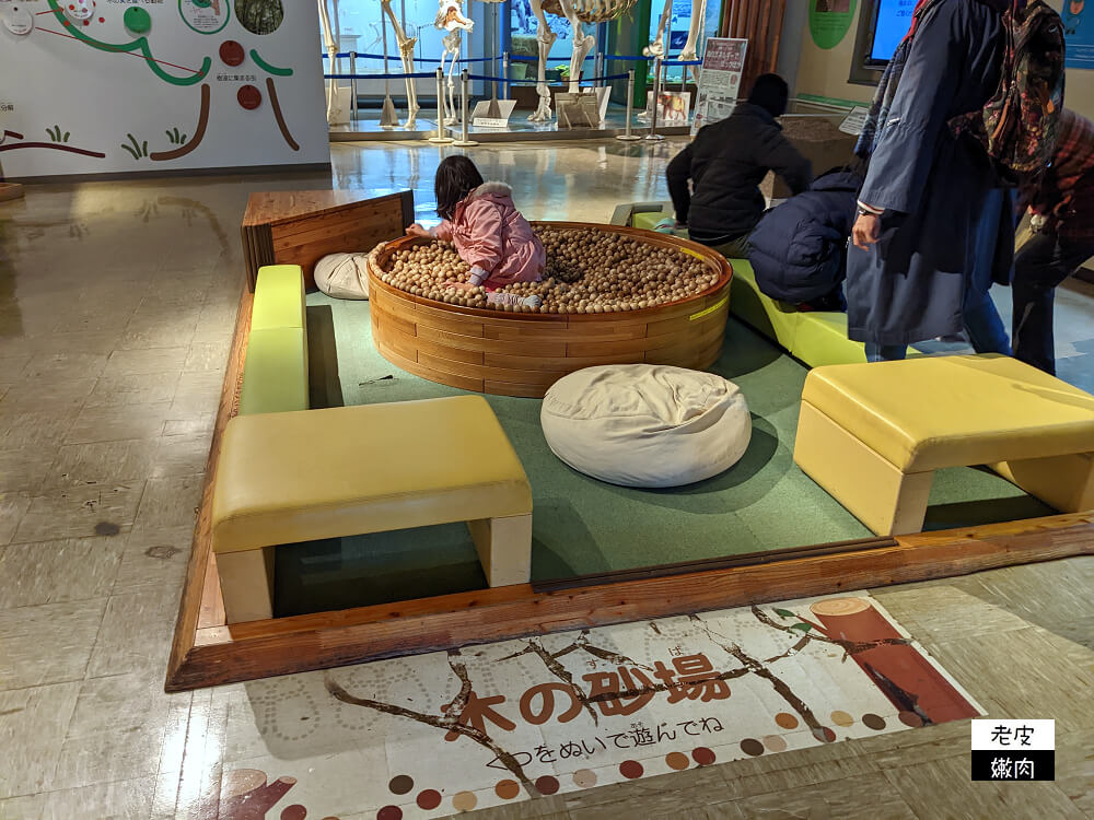 札幌親子景點推薦|札幌【圓山動物園】有北極熊 可愛浣熊 還有遊具可以玩 - 老皮嫩肉的流水帳生活