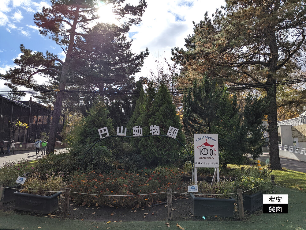 札幌親子景點推薦|札幌【圓山動物園】有北極熊 可愛浣熊 還有遊具可以玩 - 老皮嫩肉的流水帳生活