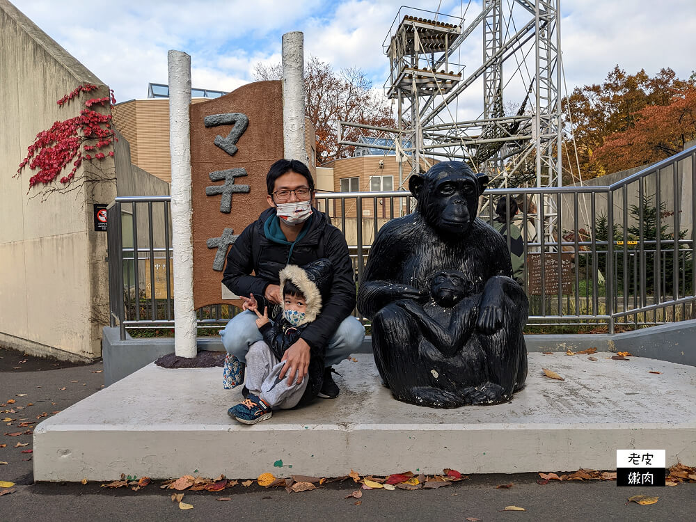 札幌親子景點推薦|札幌【圓山動物園】有北極熊 可愛浣熊 還有遊具可以玩 - 老皮嫩肉的流水帳生活