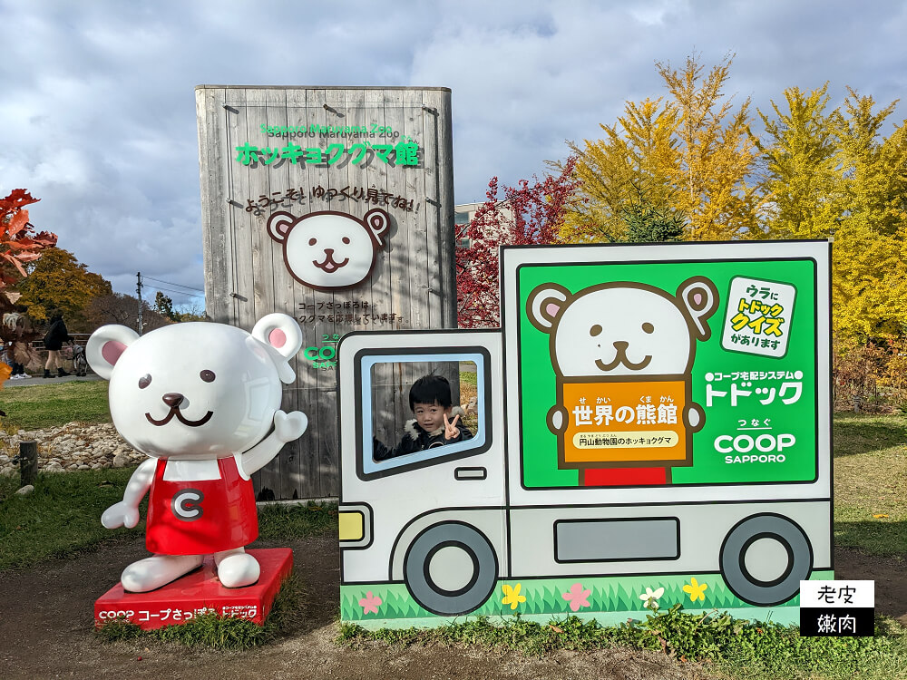 札幌親子景點推薦|札幌【圓山動物園】有北極熊 可愛浣熊 還有遊具可以玩 - 老皮嫩肉的流水帳生活