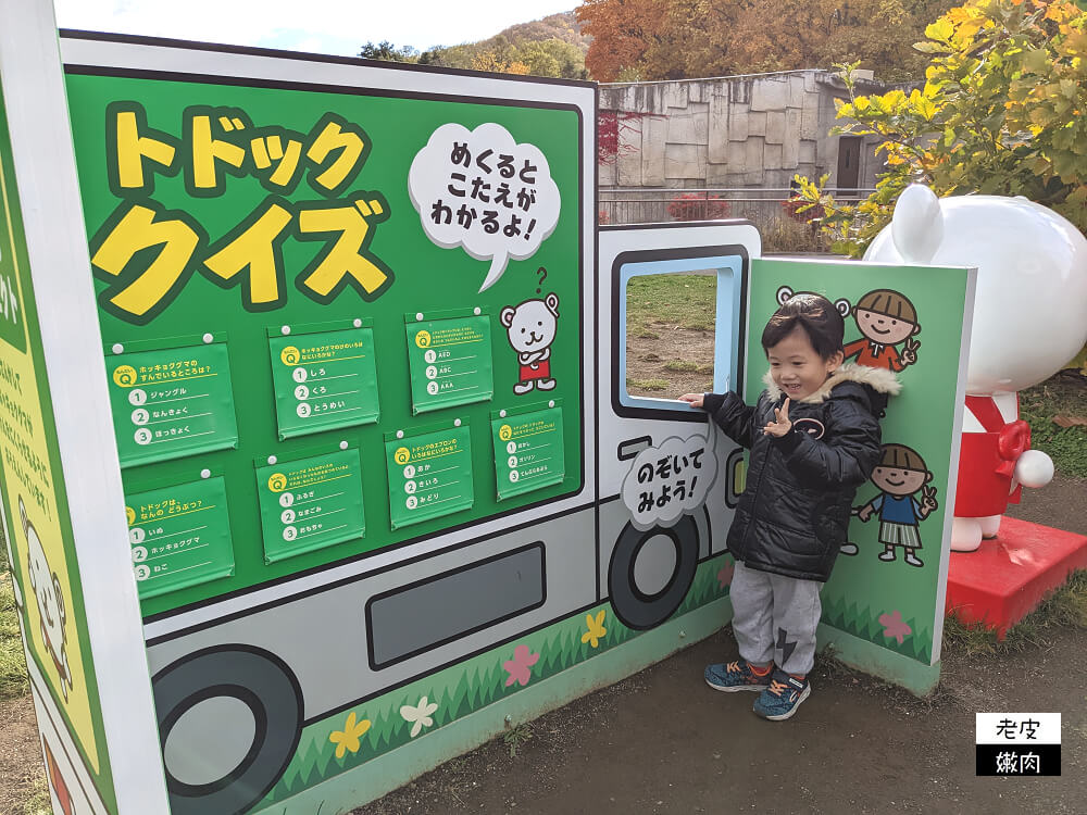 札幌親子景點推薦|札幌【圓山動物園】有北極熊 可愛浣熊 還有遊具可以玩 - 老皮嫩肉的流水帳生活