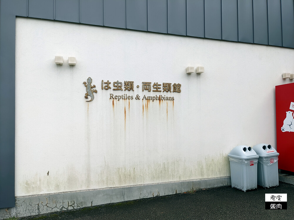 札幌親子景點推薦|札幌【圓山動物園】有北極熊 可愛浣熊 還有遊具可以玩 - 老皮嫩肉的流水帳生活