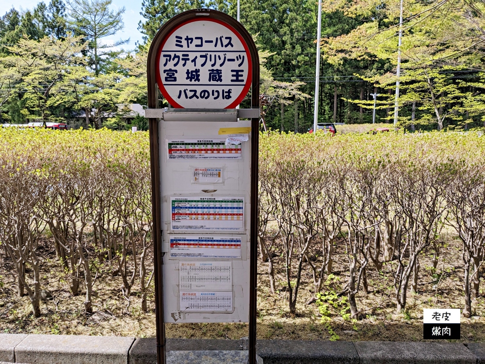 藏王住宿推薦-宮城蔵王|遠刈田溫泉 價錢超讚的親子住宿 - 老皮嫩肉的流水帳生活