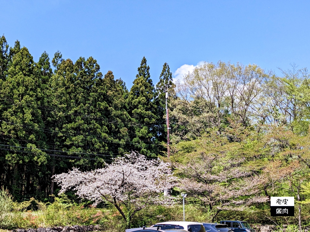 藏王住宿推薦-宮城蔵王|遠刈田溫泉 價錢超讚的親子住宿 - 老皮嫩肉的流水帳生活